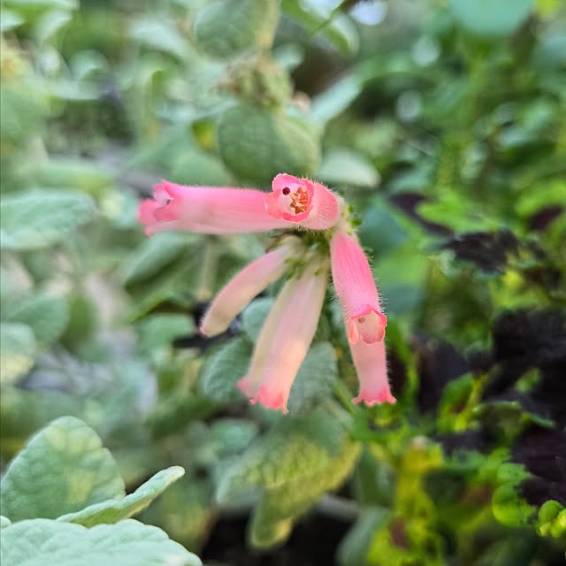 min_nimさんの実例写真