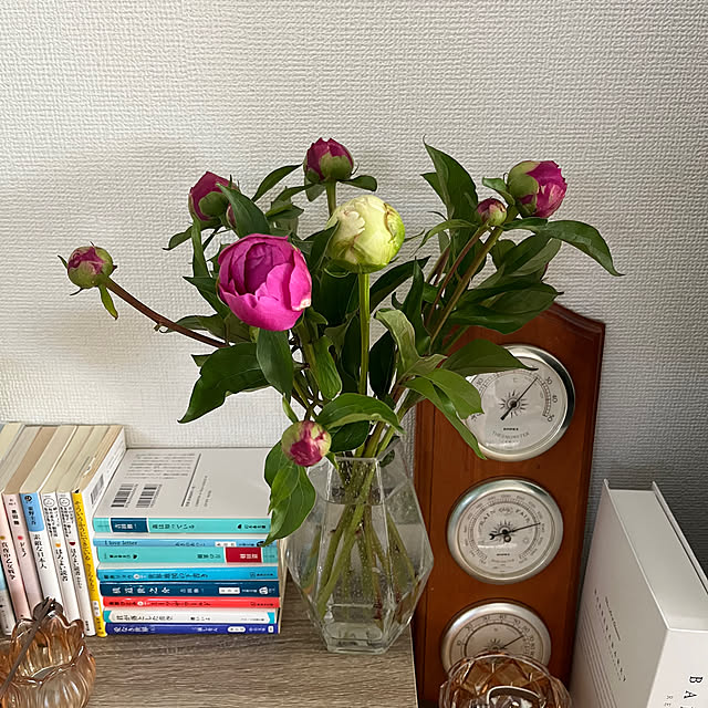miichanさんの部屋