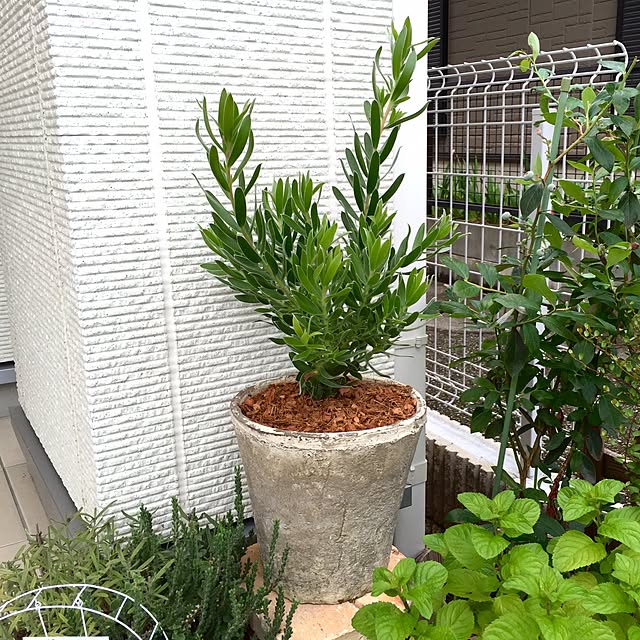 takeboo3さんの実例写真