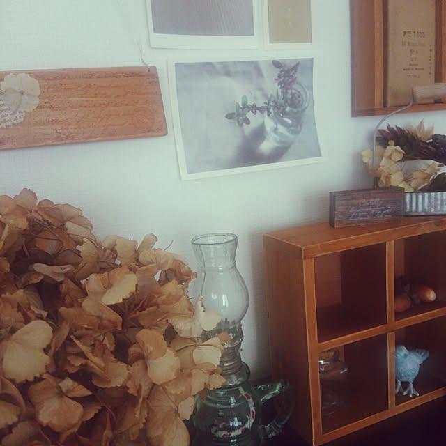noa-houseさんの実例写真