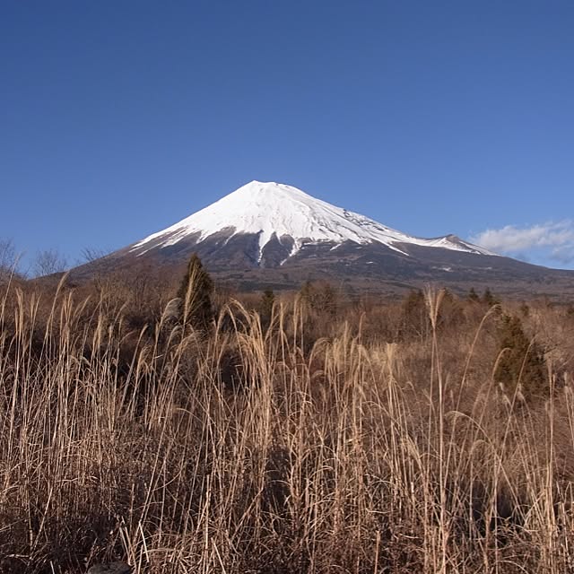 yandakoumutenさんの実例写真