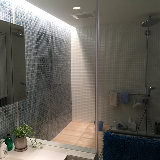 バス/トイレのインテリア実例 - 2015-06-23 21:13:09