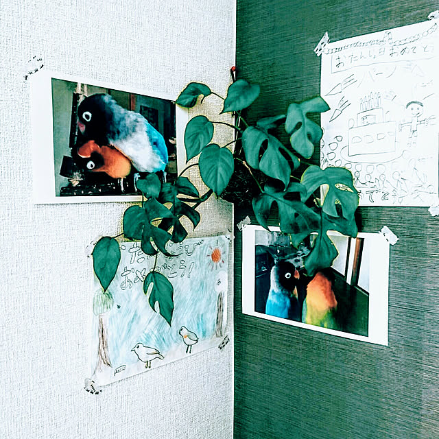 s.p.sunaoさんの実例写真
