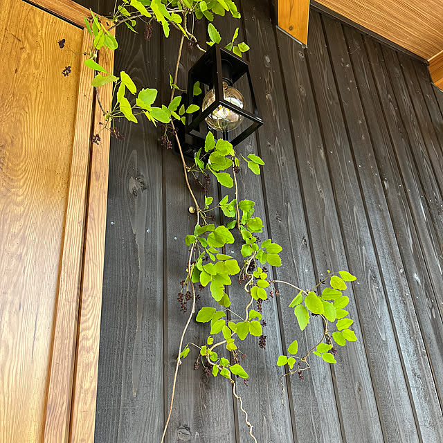 sarasaさんの部屋
