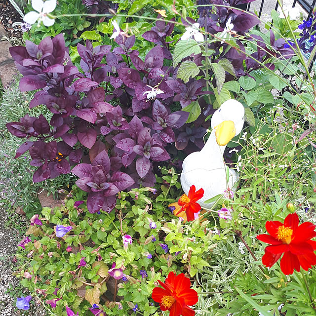 min_nimさんの実例写真