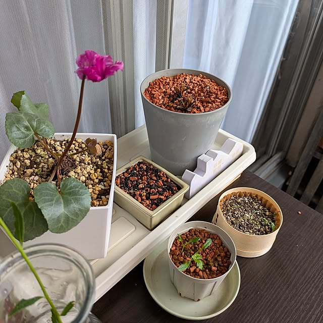 mi-saさんの部屋