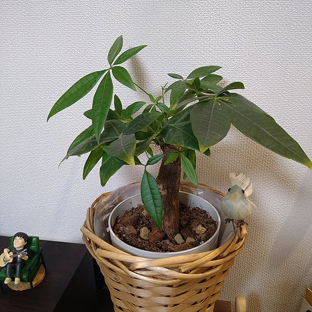 happytearsさんの部屋