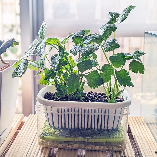 mi-saさんの実例写真