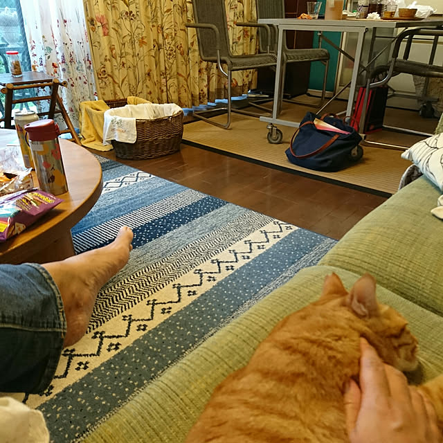 okyosan101さんの実例写真