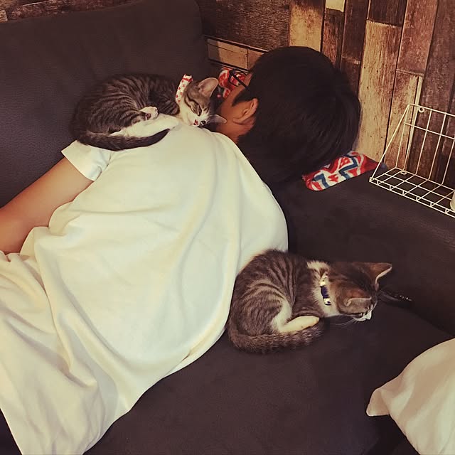 1889さんの実例写真