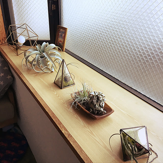 kmanokiさんの実例写真