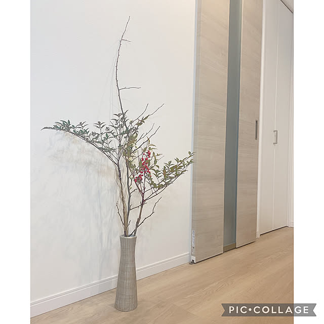 zirechanさんの実例写真