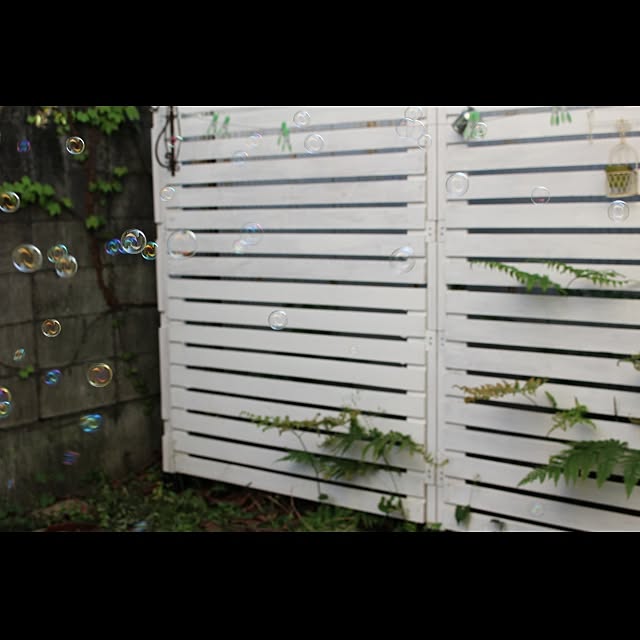 wisteriaさんの実例写真