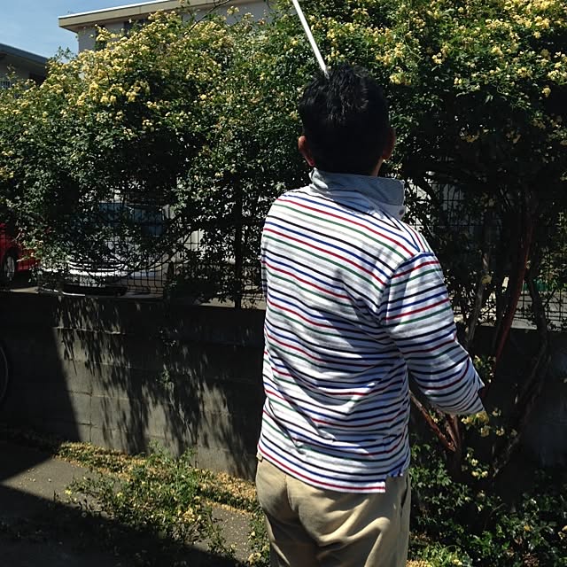 tomoさんの実例写真