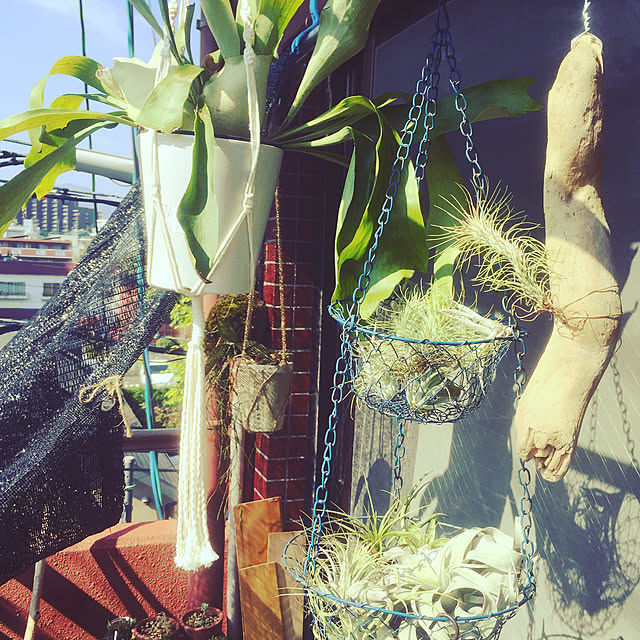 Ohararaさんの実例写真