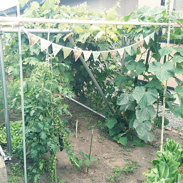 ayuminさんの実例写真