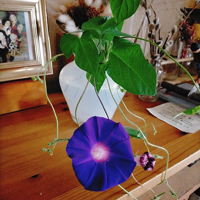 ukiukiさんの実例写真