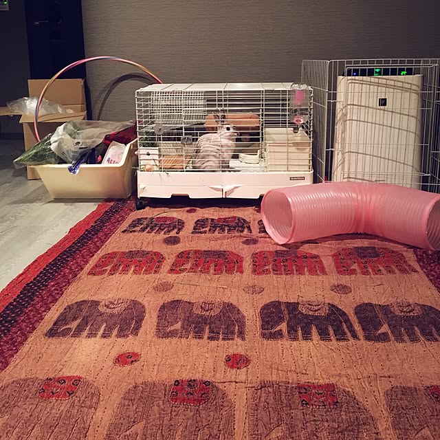 airasamaさんの実例写真