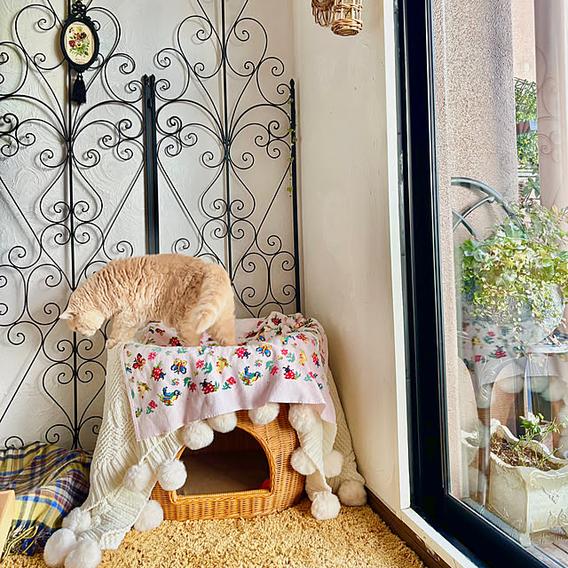 naokoさんの実例写真