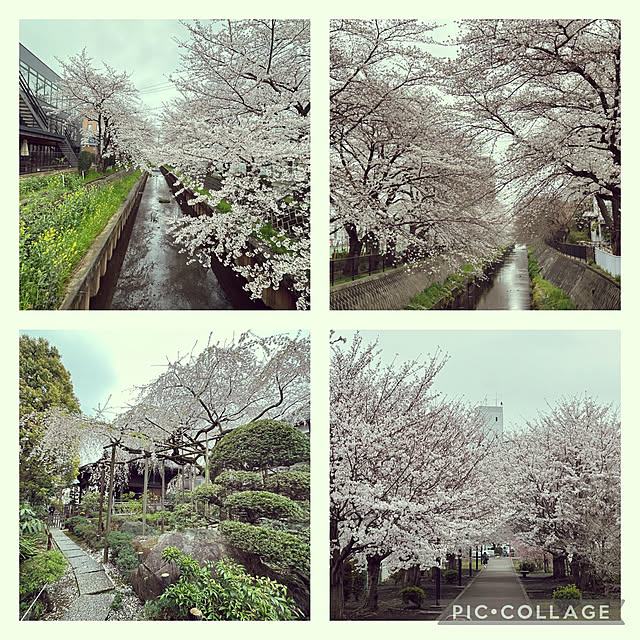 mizucchiさんの部屋