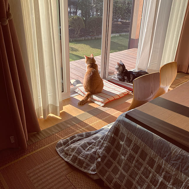 mkmkmoominさんの実例写真