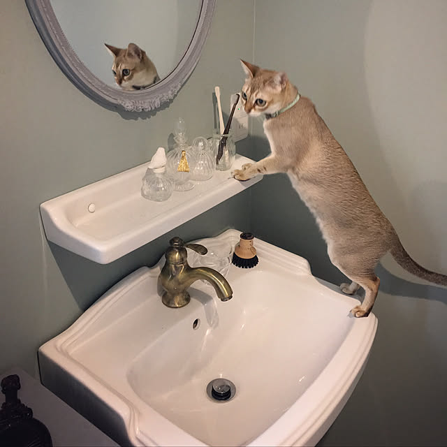 utechipoさんの実例写真
