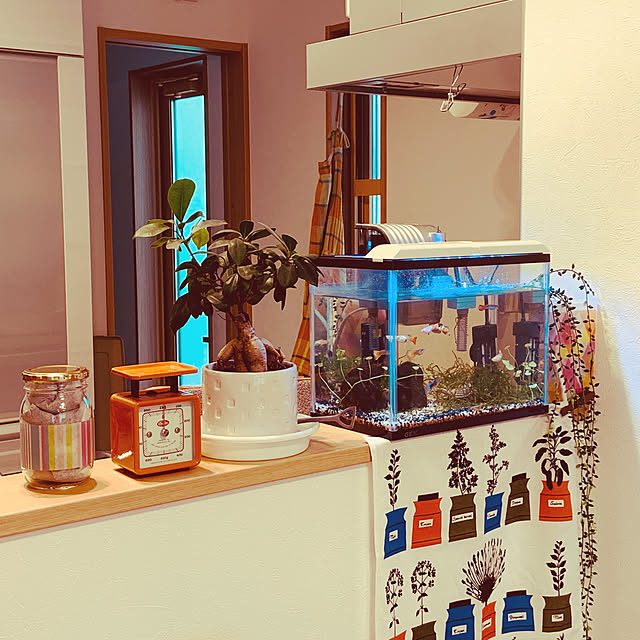 saoriumeさんの実例写真