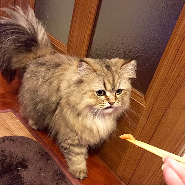 butachanさんの実例写真