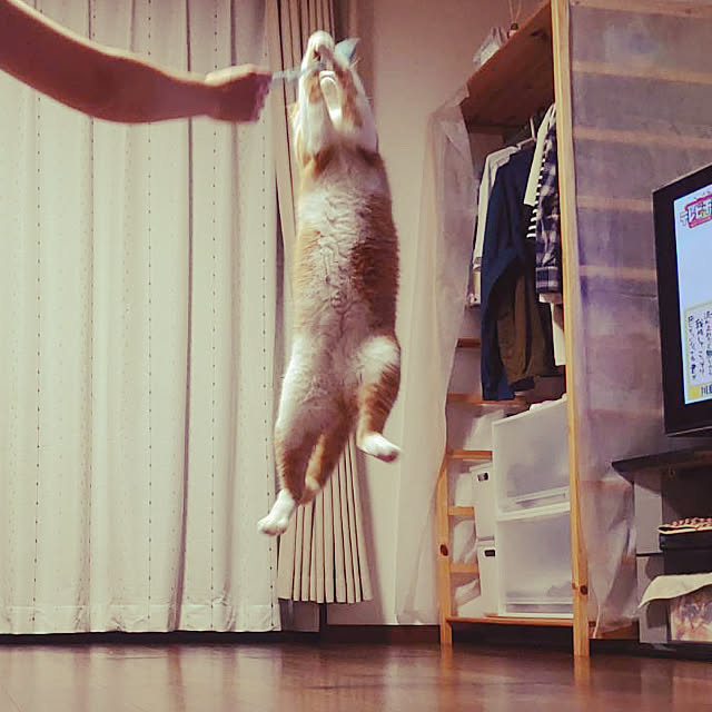 MUGIさんの実例写真