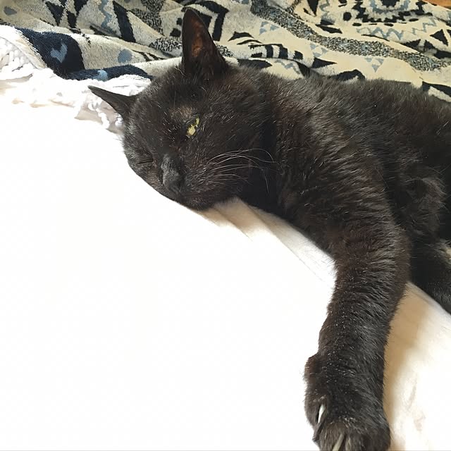 TiffanyTさんの実例写真