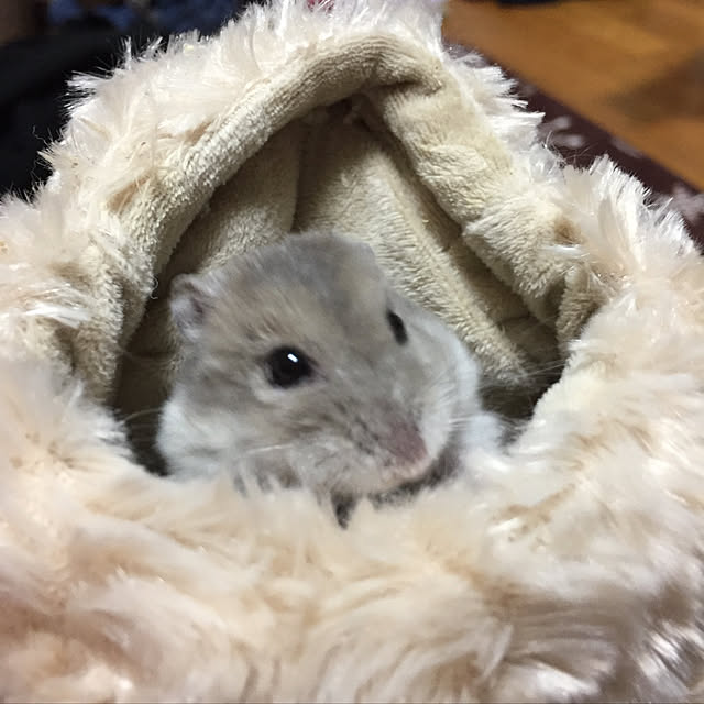Miwakoさんの実例写真