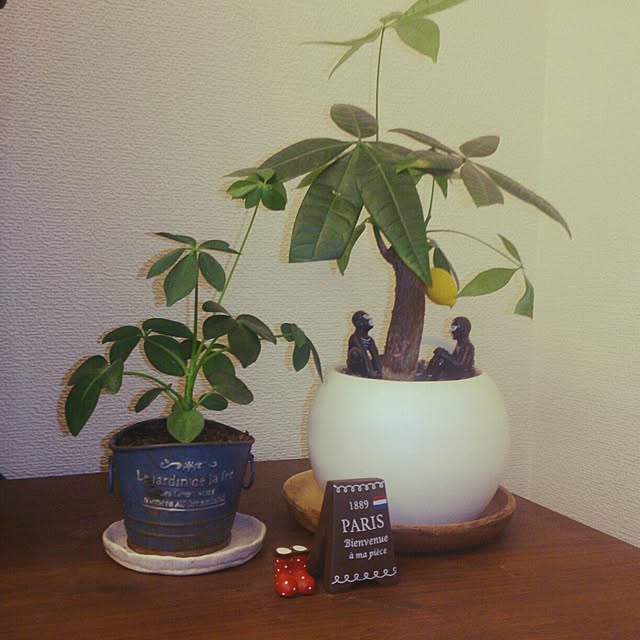 hiyohiyoriiさんの実例写真