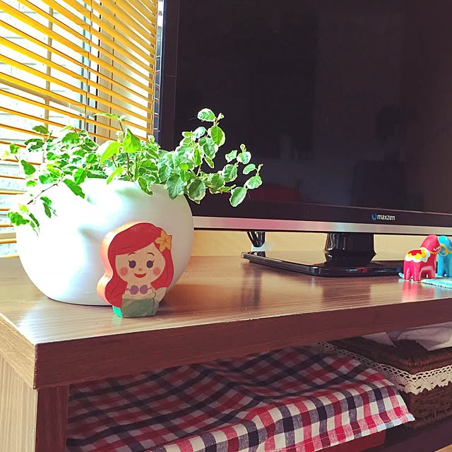 takami0501さんの実例写真
