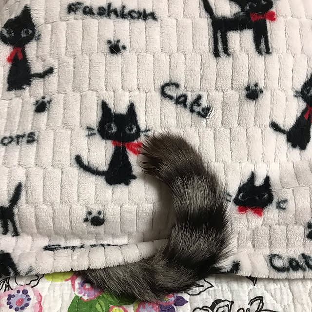 daikichiさんの実例写真
