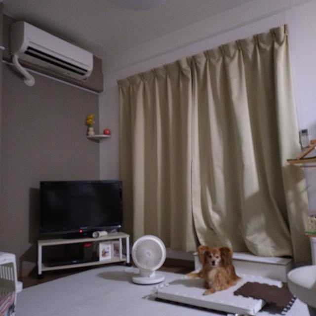 toratanさんの実例写真