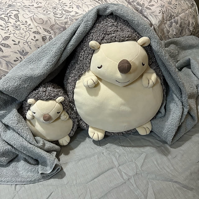 momocchiさんの実例写真