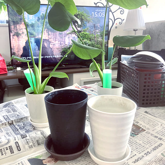 MOMOMAMAさんの部屋