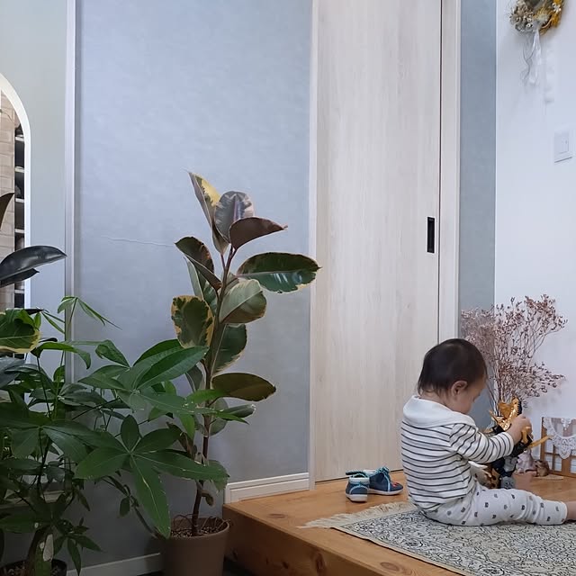 ri-eさんの実例写真