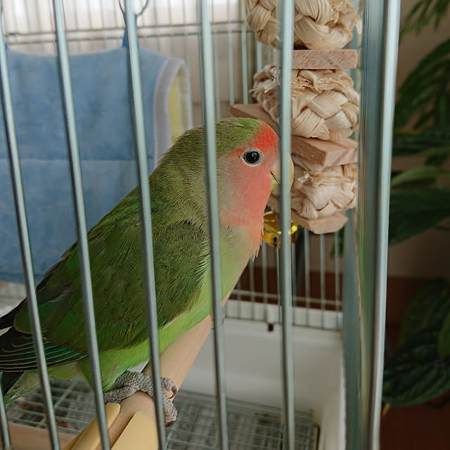 ayaさんの実例写真