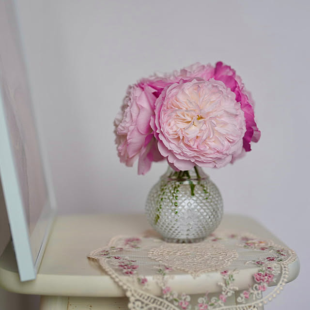 haruisabelさんの部屋