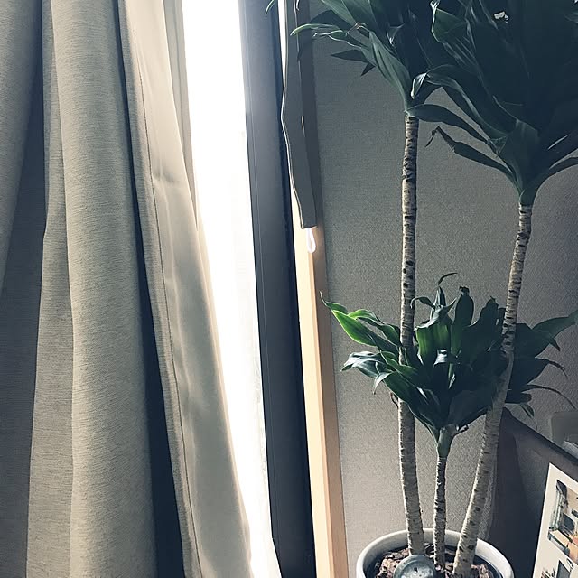 powakyonさんの実例写真