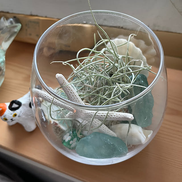 rokaさんの部屋