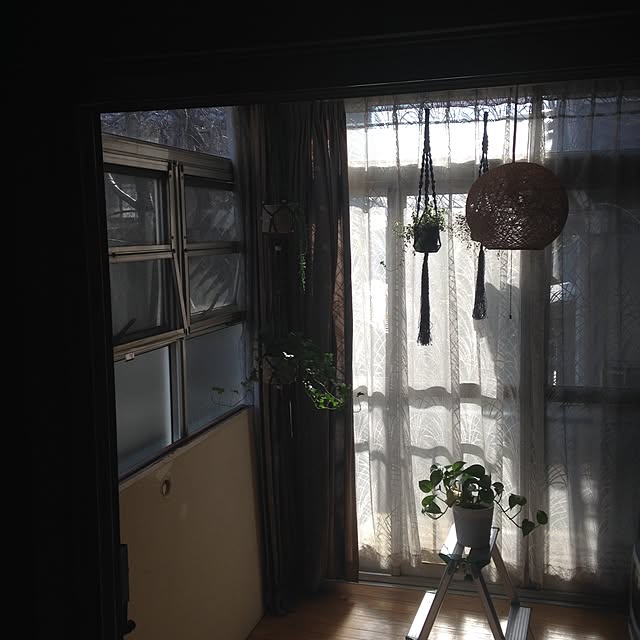 mikyuさんの実例写真