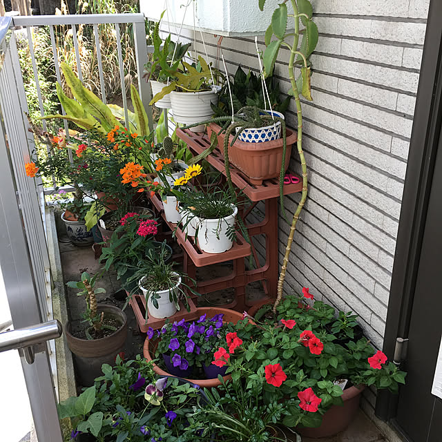 pipiさんの部屋