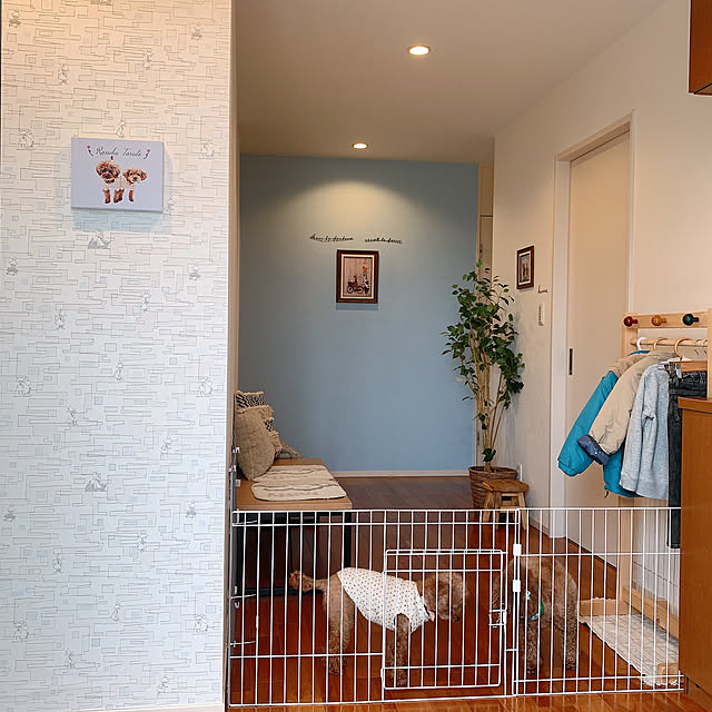 Tarutoさんの部屋