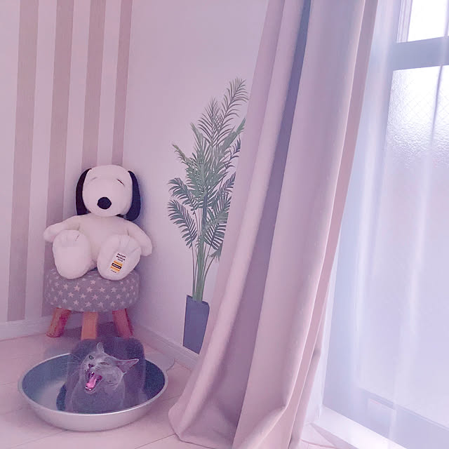 snoopyさんの部屋