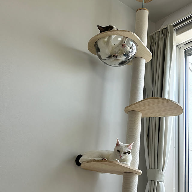 pakirasanさんの実例写真
