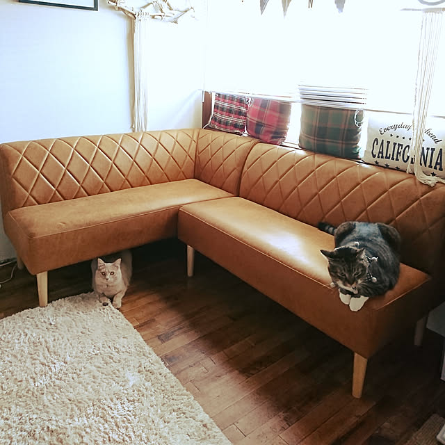 Lukiさんの実例写真