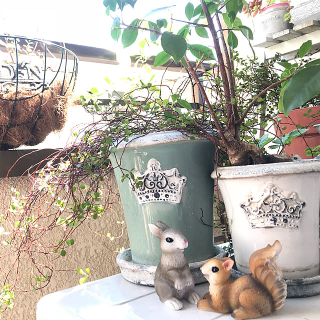 mokoさんの実例写真