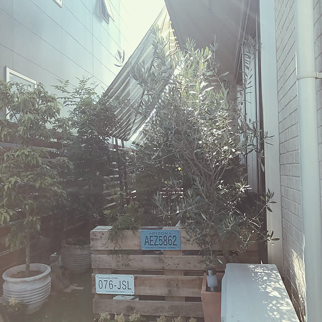 miiさんの実例写真